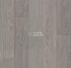 Линолеум Forbo Eternal Wood 12862 grey oak фото 1 | FLOORDEALER
